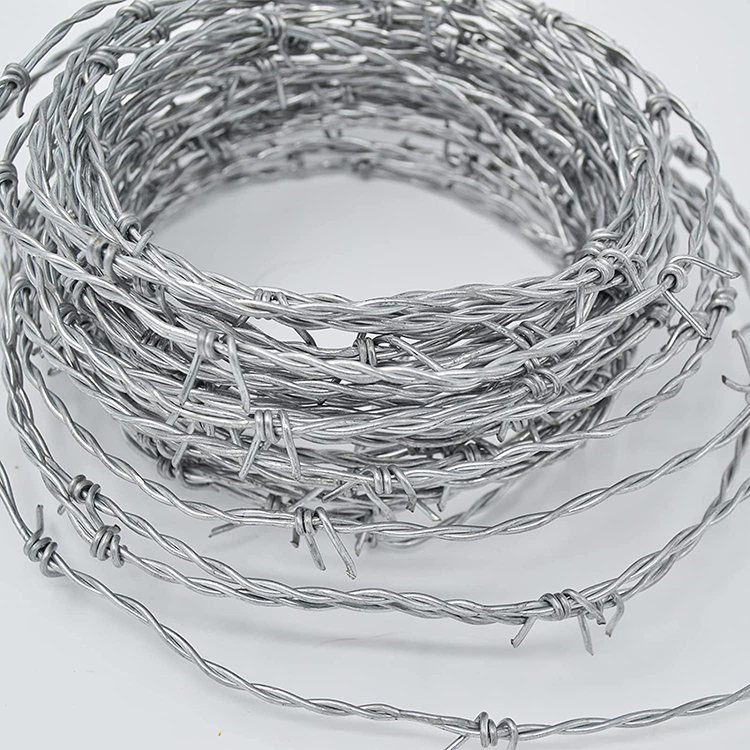 barbed wire (4).jpg barbed wire (4).jpg