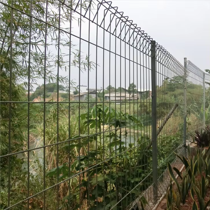圖片標(biāo)題 圖片標(biāo)題